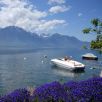 Lakeside Properties - Lake Geneva