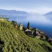 Lakeside Properties - Lake Geneva