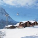 Chalet Snowflake
