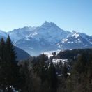 Coeur de Neige