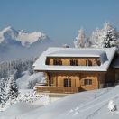 Chalet Les Coniferes