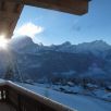 Chalet Les Coniferes